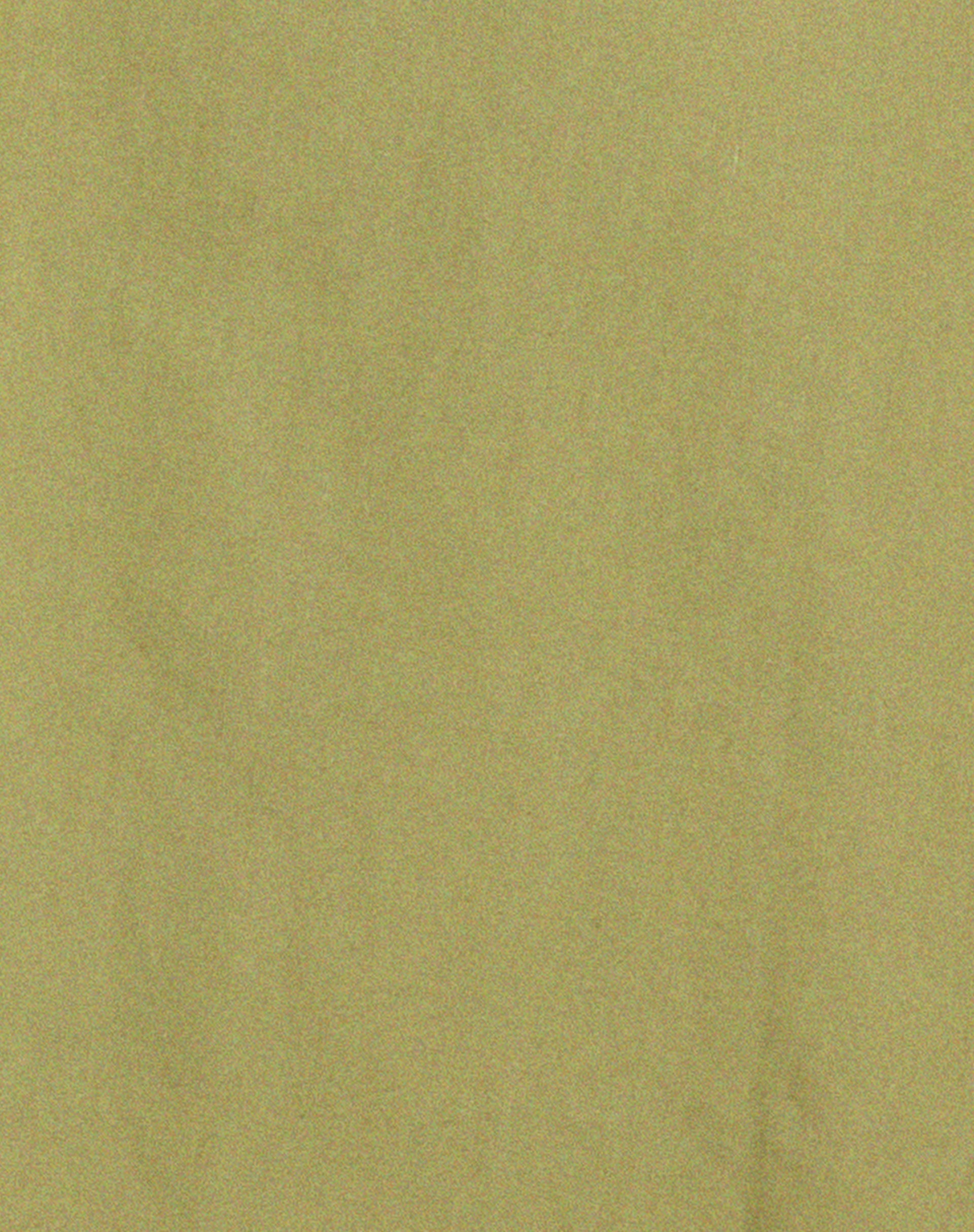 Gane Shirt in Seafoam Green