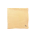 Handkerchief / Bandana