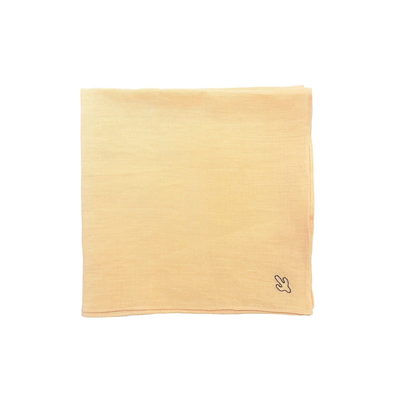 Handkerchief / Bandana